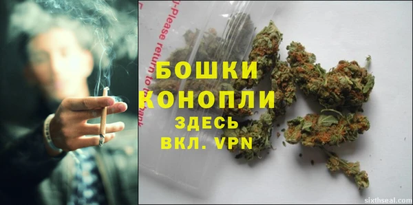 ПСИЛОЦИБИНОВЫЕ ГРИБЫ Гусиноозёрск