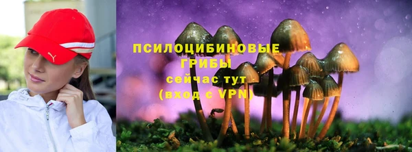 кокаин Гусь-Хрустальный