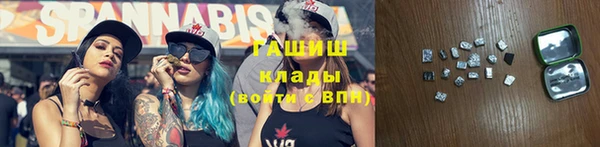 гашик Дмитровск