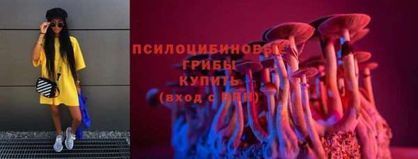 ПСИЛОЦИБИНОВЫЕ ГРИБЫ Гусиноозёрск