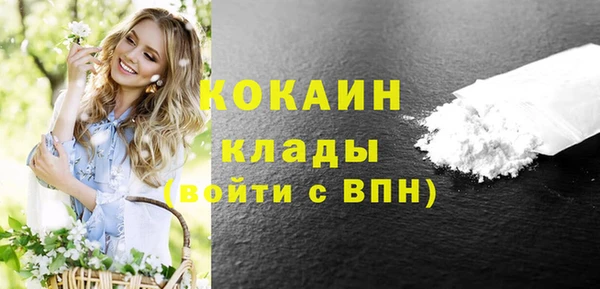 ПСИЛОЦИБИНОВЫЕ ГРИБЫ Гусиноозёрск