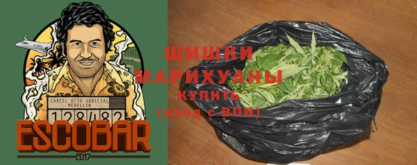 СК Гусев