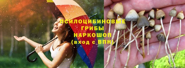 СК Гусев