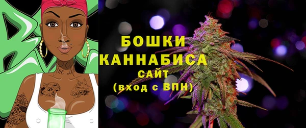 ПСИЛОЦИБИНОВЫЕ ГРИБЫ Гусиноозёрск