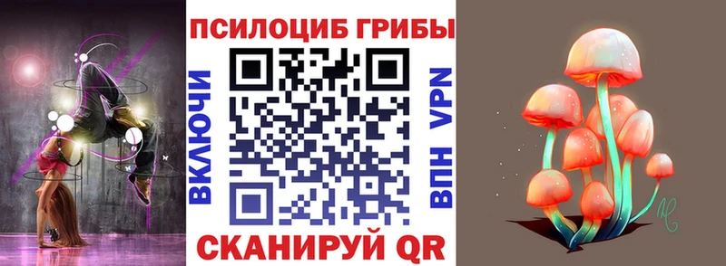 нарко площадка наркотические препараты  Черкесск  Псилоцибиновые грибы прущие грибы 